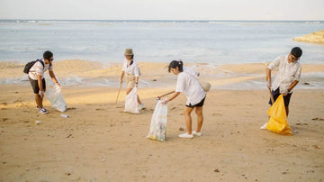 Asset_clean_up - TRU ISLAND