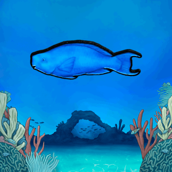 Coral Reef Pin Set - TRU ISLAND