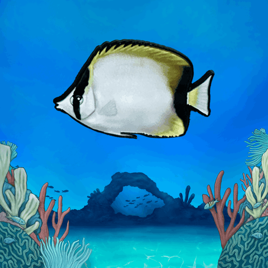 Coral Reef Pin Set - TRU ISLAND