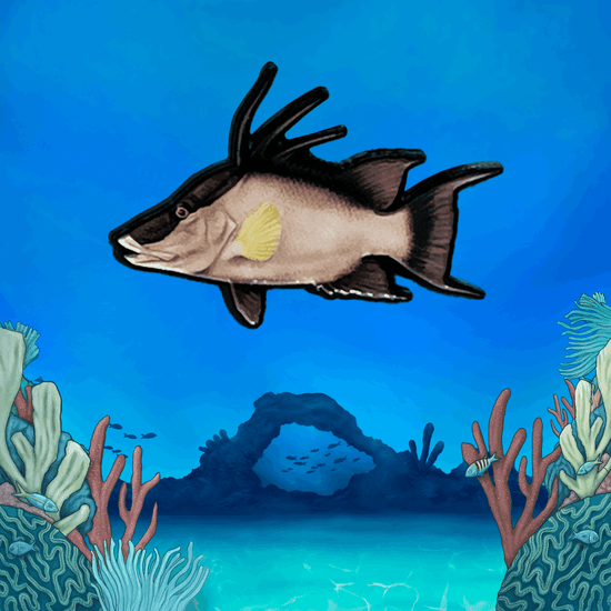 Coral Reef Pin Set - TRU ISLAND