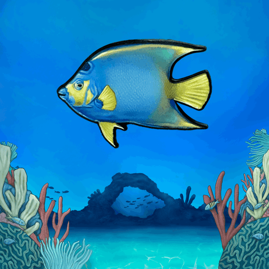 Coral Reef Pin Set - TRU ISLAND