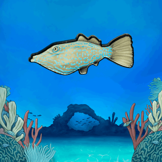 Coral Reef Pin Set - TRU ISLAND