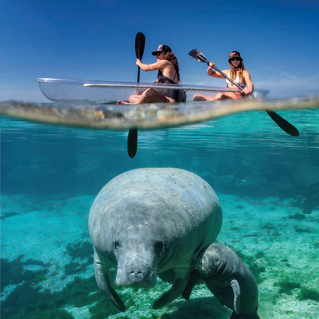 Clear Kayak