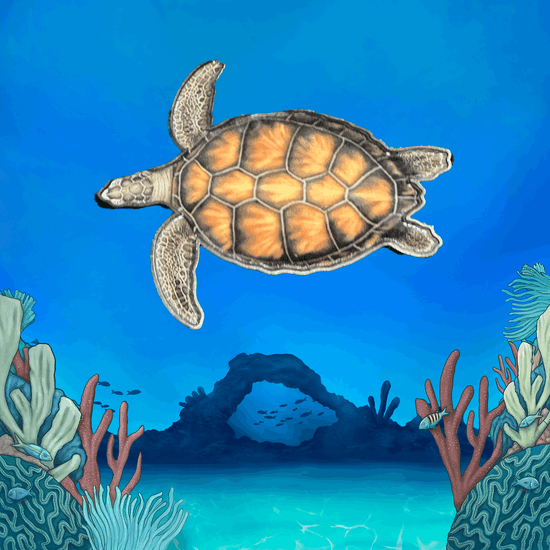 Coral Reef Pin Set - TRU ISLAND