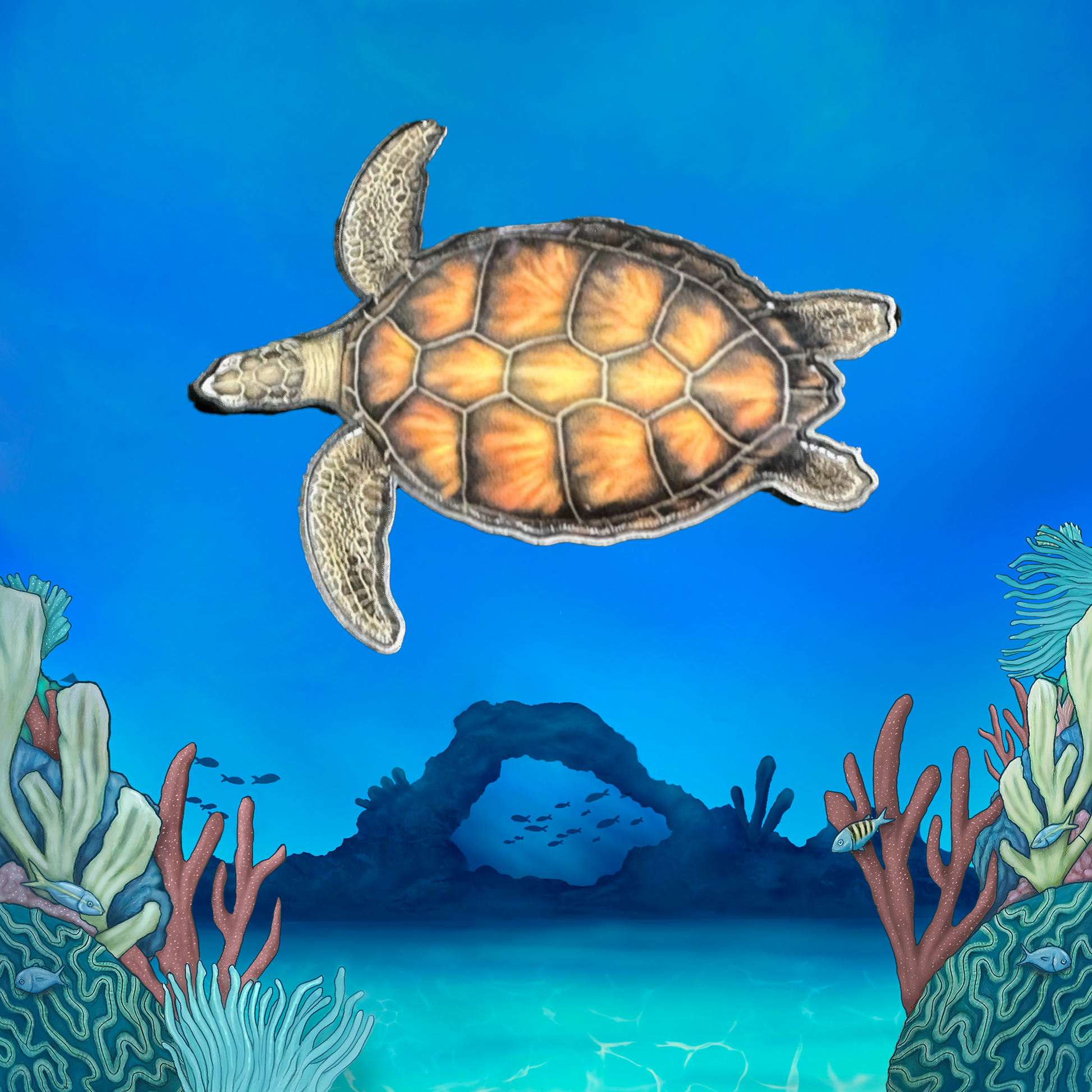 Tru Island Coral Reef Pin Set