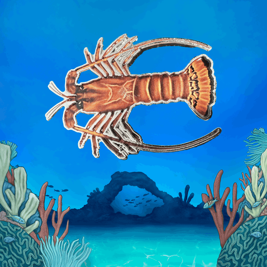 Coral Reef Pin Set - TRU ISLAND