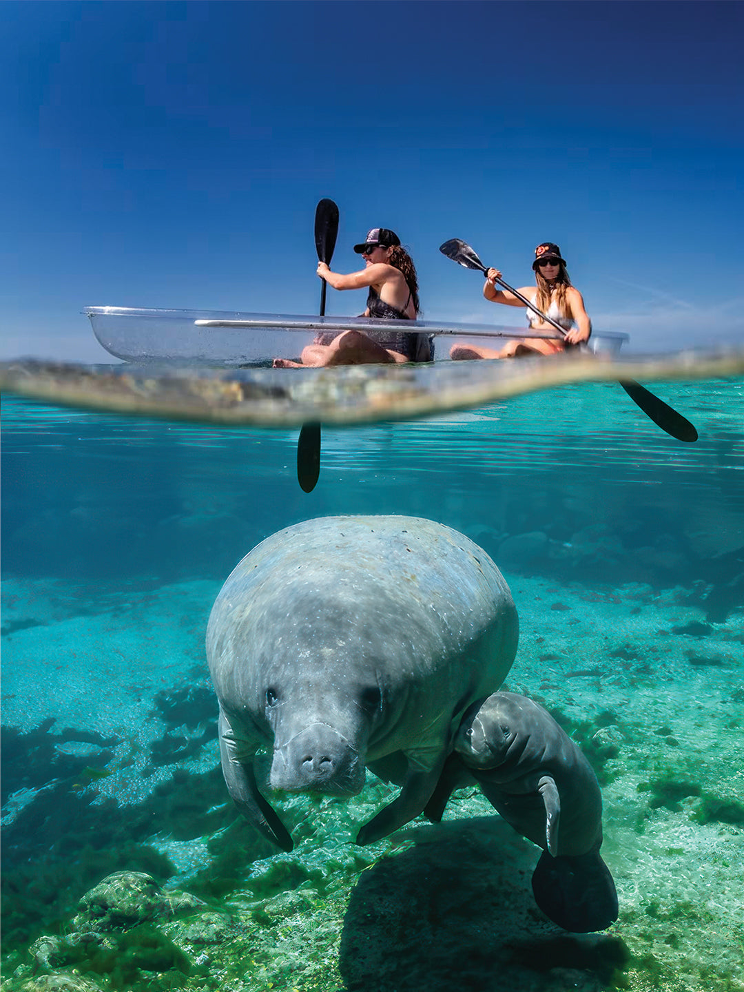 Kayaks