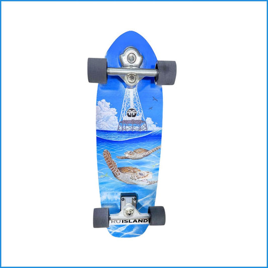 Skateboard Turtles at the Lighthouse Art
