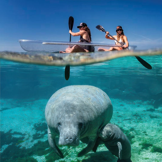 Clear Kayak